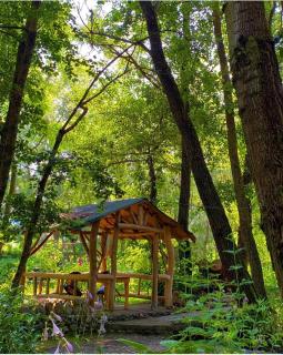 Hotel Restorant Natyra Diber Camping - - 3