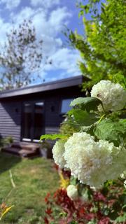 Heath Vale Stay - Andover - 0