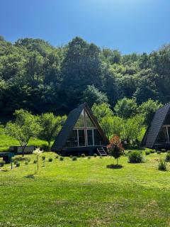 Cabane A-Frame Svinița - Sviniţa - 7