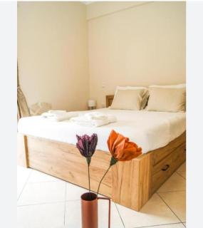 Ioannina Lux & Pleasant Stay - Neochorópoulon - 0