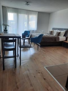 Danube Apartman - Budapest - 9