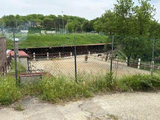 Vacanze toscane Relax privacy - San Baronto - 8