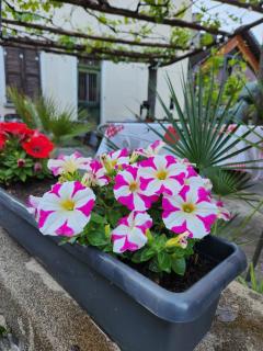 B&B Osteria Morganti - 8