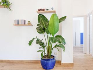 Susanna Boutique Home - Vico Equense - 7