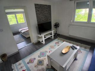 Apartman Mahala one - 9
