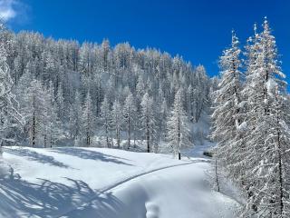 FLORA ALPINA EXPERIENCE - "Ski-to-Door" Brand New Chalet Apartments with Indoor Garage and Mountain View - Breuil-Cervinia - 8