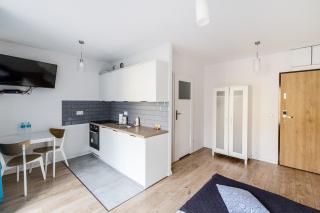 Blue Apartment with a terrace - Breslavia - 3