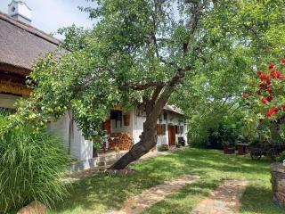 Műemlék parasztház - 1