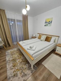 Casa Mara Viseu de Sus - 1