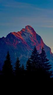 Beautiful 2 room apartment in a central location - Grindelwald - 6