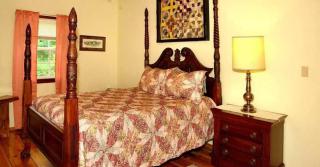 Country Cottage - Newport - 3