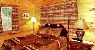 Country Cottage - Newport - 1
