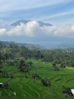 Lumbung ayu sari and spa - Sidemen - 7