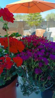 Lyra's house - Skiathos-Stadt - 8