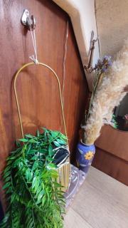 Sailboat land and sea, vegetated - 3