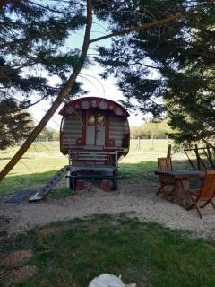 Roulotte irlandaise Polly - Saint-Vincent-en-Bresse - 0