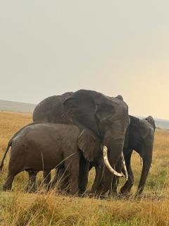 Olgilai Mara view - Masai Mara - 7