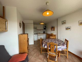 Appartement cosy 4 pers, terrasse, 2 pièces + coin montagne, près des pistes, Crest-Voland - FR-1-733-92 - Crest-Voland - 8