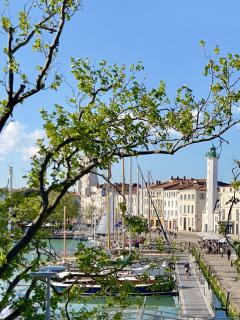 Vue sur le Vieux Port - 1