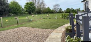 Field House Farm - Owl Lodge or Honey Pod - countryside stay near York - Skipwith - 9