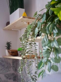 Chaleureux studio proche plage classé 2 étoiles - 7