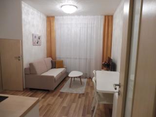Modern Apartment JEGEHO Bratislava - TIPOS ARENA - Bratislava - 9