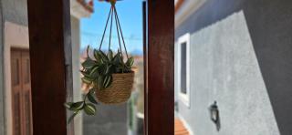 Coco Luxury Apartments - Poros - 3