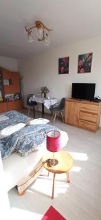 Słoneczne Centrum Apartament - Suwałki - 5