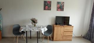 Słoneczne Centrum Apartament - 3