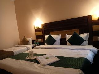 Geetanjali Palace Hotel & Restaurant - Rudraprayāg - 3