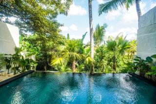 Ubud peaceful private villa with Rice fields view - 1