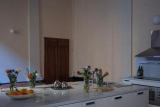 Impressive renaissance residence with elevator - Florença - 5