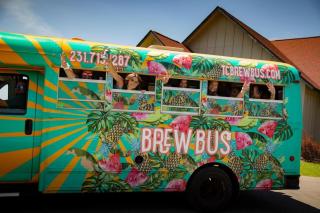 Four Connected Apartments Walk Everywhere AC Breweries - 8