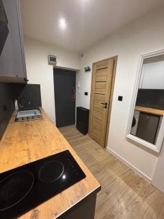 Apartament przy parku Reymonta! - Łódź - 1