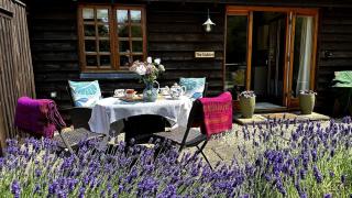 Cottage near Corfe & Jurassic Coast - 5