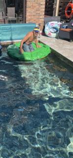 Palanga White Studio Old Town - 5