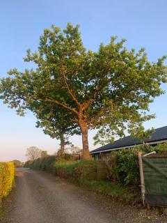 Field View - Liskeard - 9