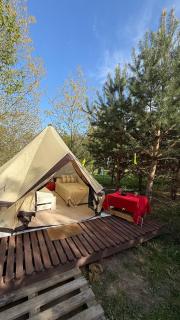 Glamping under the pines - Vilnius - 9