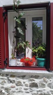 Traditional stone house in Mytilene - Mitilene - 8