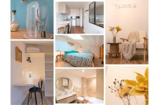 Le Soyeux - 100m de la Gare & parking privé - Roanne - 9