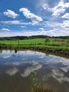 Domek Nad Stawem - Kudowa-Zdrój - 9