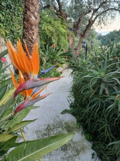 Villa Daja Menton - Menton - 0