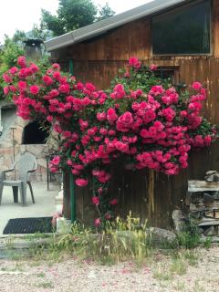 LOVE ROOM Chalet des ALPES - Guillestre - 0