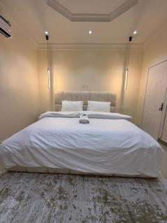 Luxury 3 bedroom apartment apartment ikoyi - Lagos - 3
