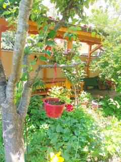 Family House Victoria' Garden - Primorsko - 7