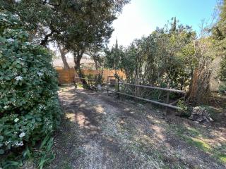 Mazet en Provence - Châteaurenard - 9