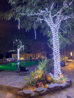 Tamcoc Moon An Bungalow & Restaurant - Ninh Binh - 4