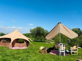 Riverside farm Yurt tent Hertford - Hertford - 7