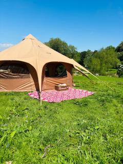 Riverside farm Yurt tent Hertford - Hertford - 5