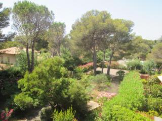 Résidence Pinede Mer Soleil - Saint-Raphaël - 3